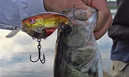 Yamamoto Custom Baits: Fishing During Fall Turnover