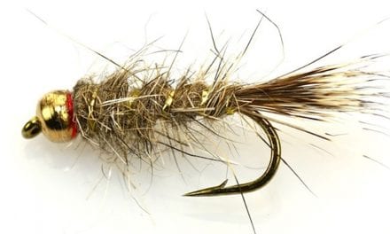 10 Flies for Trout Worth Trying Out