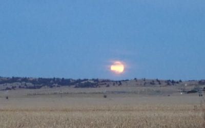 Adventure Report: Thanksgiving Combo