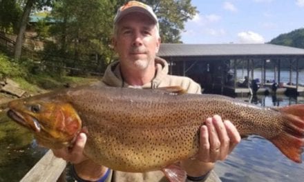 Arkansas Cutthroat Trout Breaks Nearly 33-Year State Record