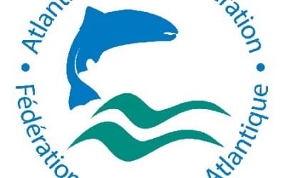 Atlantic Salmon Foundation Urges Reduction in Striper Population
