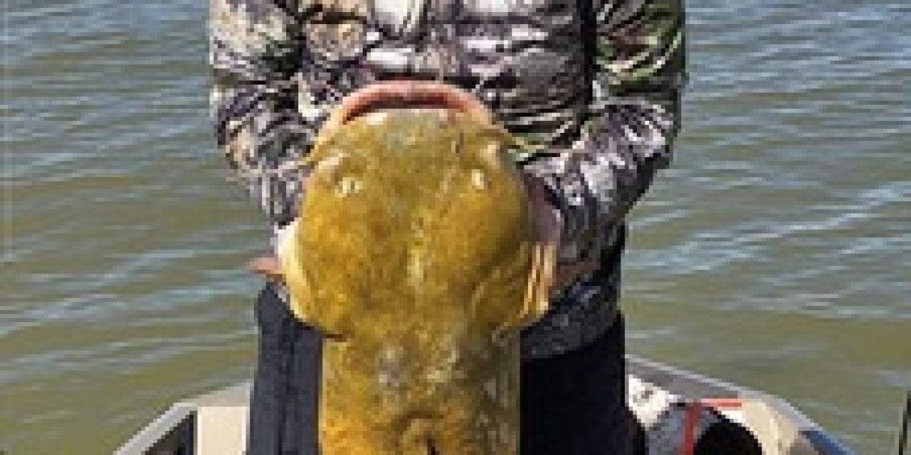 Elephant Butte Lake, N.M. Produces A Monster Cat