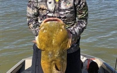 Elephant Butte Lake, N.M. Produces A Monster Cat