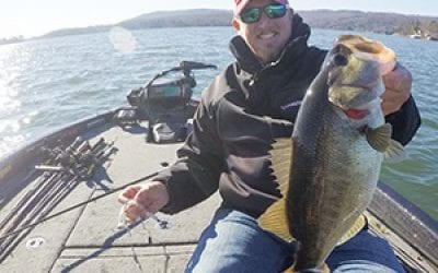 Go Small in the Fall