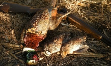 Happy Thanksgiving!