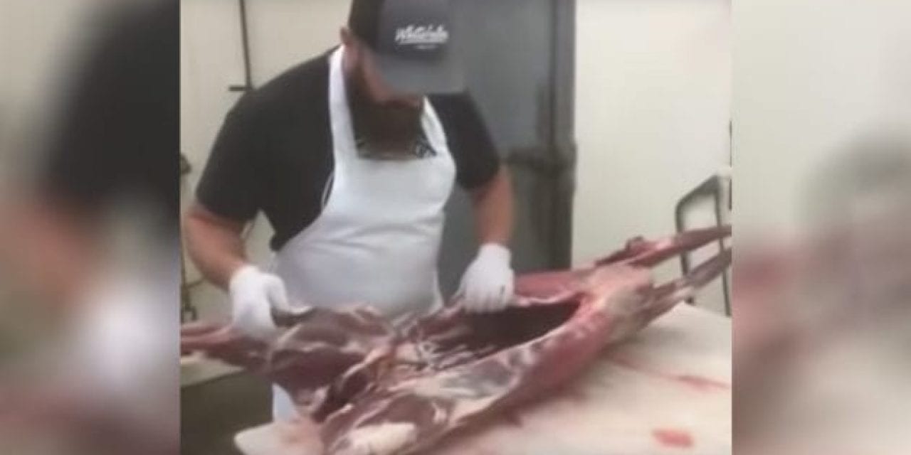 How to Butcher a Deer for the Expert and the Amateur