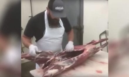 How to Butcher a Deer for the Expert and the Amateur