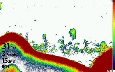 Humminbird Announces New Dual Spectrum CHIRP Sonar