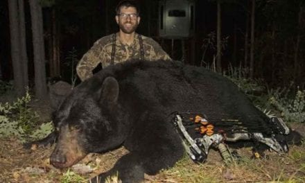 It Took Clay Newcomb 5 Years to Arrow This 550-Pound Oklahoma Black Bear