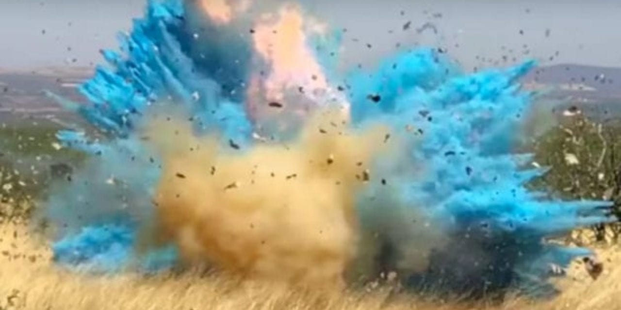 Man Accidentally Causes Huge Wildfire at Gender Reveal Party