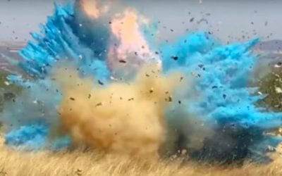 Man Accidentally Causes Huge Wildfire at Gender Reveal Party