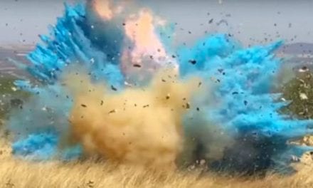 Man Accidentally Causes Huge Wildfire at Gender Reveal Party