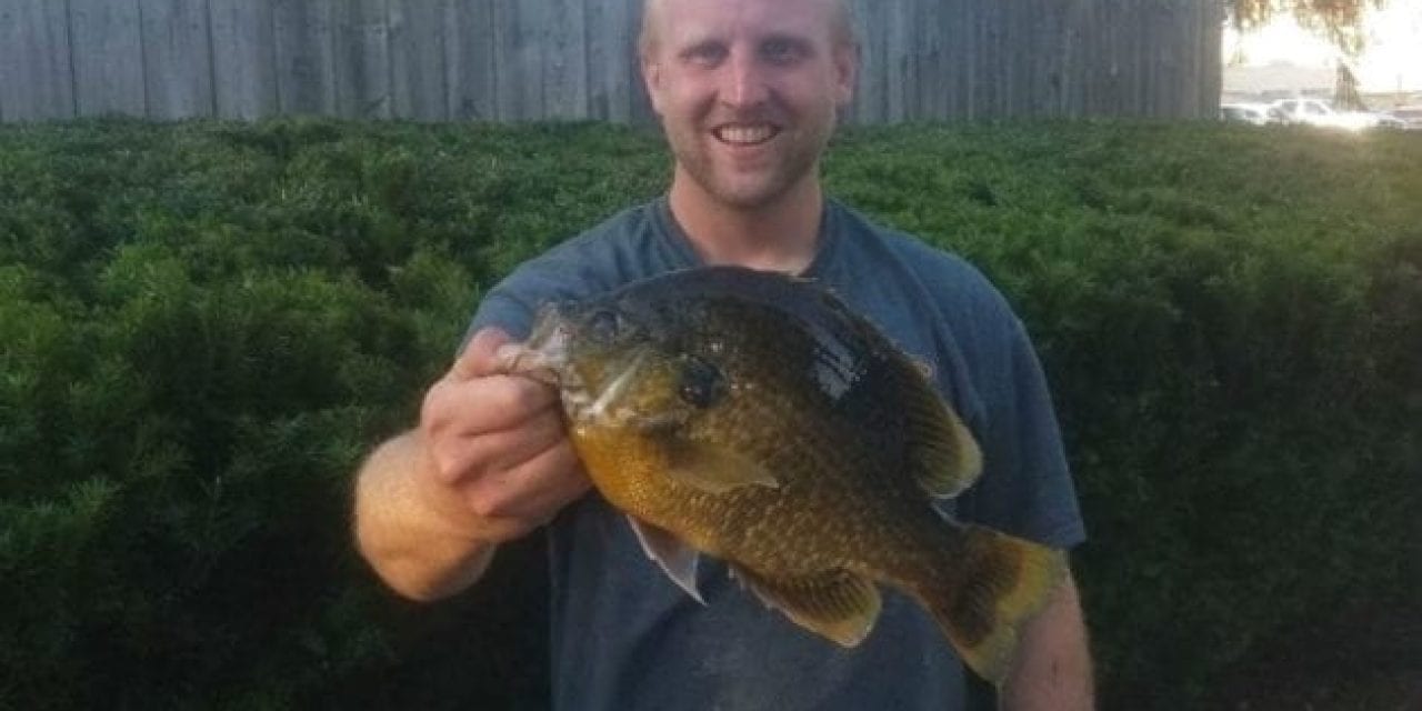 Michigan Angler Breaks 30-Year Old Hybrid Sunfish Record