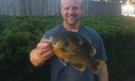 Michigan Angler Breaks 30-Year Old Hybrid Sunfish Record