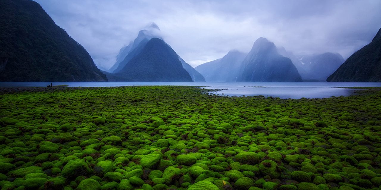 Milford Sound