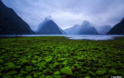 Milford Sound