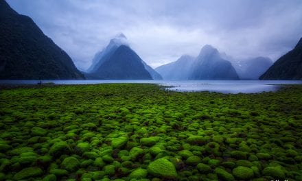 Milford Sound