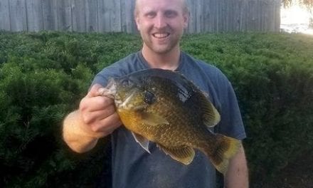 New Hybrid Sunfish In Michigan