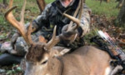 Nugent: Tips For Successful Bowhunting