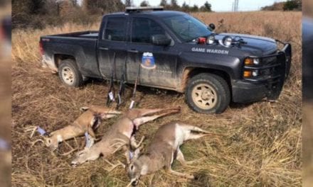 Oklahoma Game Wardens Bust Three Poachers Spotlighting and Shooting Deer at Night