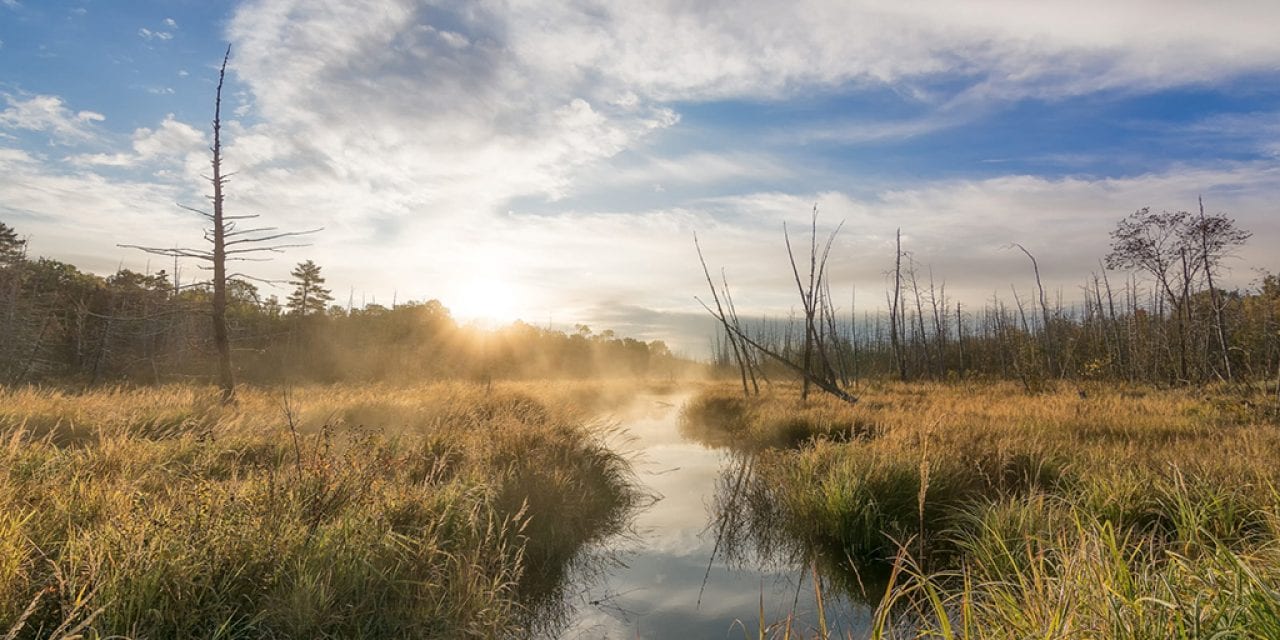 Photo Of The Day By Christopher Mills