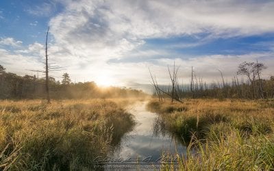 Photo Of The Day By Christopher Mills