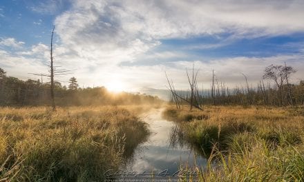 Photo Of The Day By Christopher Mills