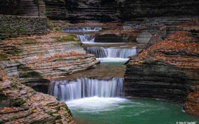 Photo Of The Day By Mark Ogden