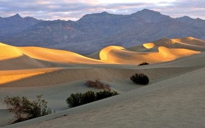 Photo Of The Day By Robert Klein