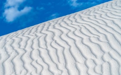 Photo Of The Day By Sharon Philpott