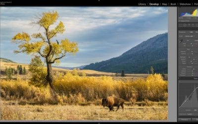 reCOMPOSE Podcast 042: Lightroom Series #3, Masking
