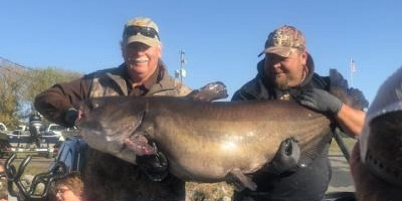 Record breaking blue catfish caught in Western Kentucky