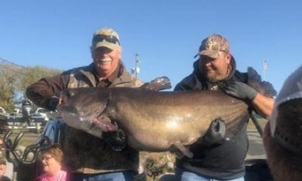 Record breaking blue catfish caught in Western Kentucky