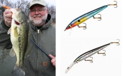 Rogue Hotspots for Bass