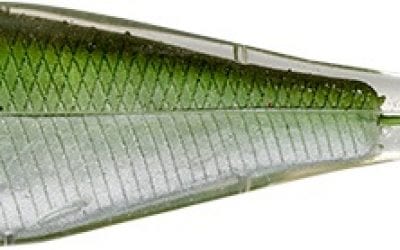 Skip Your Way to Unparalleled Catch Rates