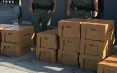 South Carolina DNR Officers Seize Catch