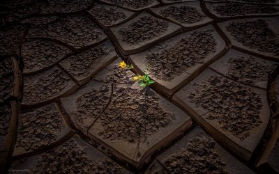 Textures Assignment Winner Sangeeta Dey