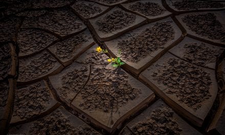 Textures Assignment Winner Sangeeta Dey