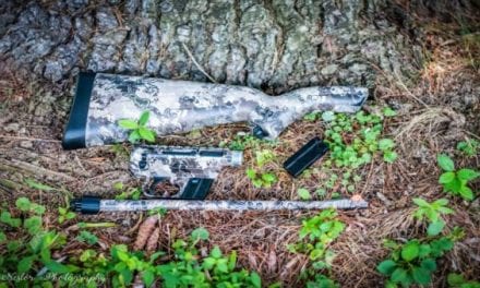 The 6 Best Survival Rifles on the Market