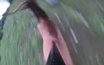 Tim Wells Finally Achieves the Speared Elk Kill