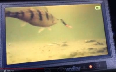 Vexilar Fish Scout Color / B-W Underwater Camera w / Case