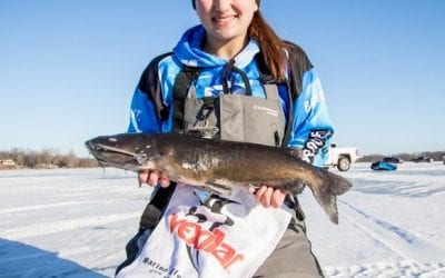 Vexilar FL-8SE Series Flashers