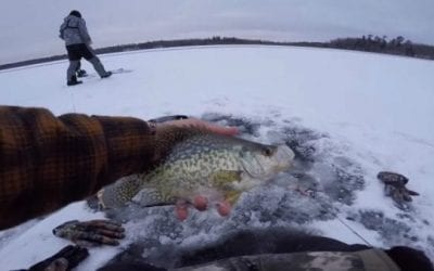 Video: How Cold Is It? Well, apbassing is Ice Fishing Already…