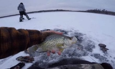 Video: How Cold Is It? Well, apbassing is Ice Fishing Already…