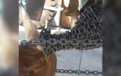 Video: How Not to Anchor Your Boat