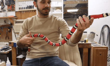 Video: Watch This Guy Make an Incredible 100-Piece Milk Snake Lure