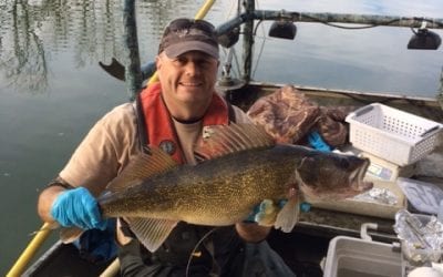 Virginia – Catch Walleye While Weather Turns
