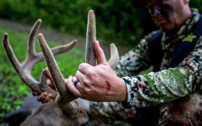 We’ve Found the Best Streaming Service for Outdoor Shows