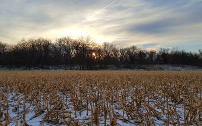 What Is The Deer Hunting Experience Like?