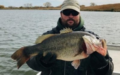 What Lurks Beneath, Nov. 2018, and an Update